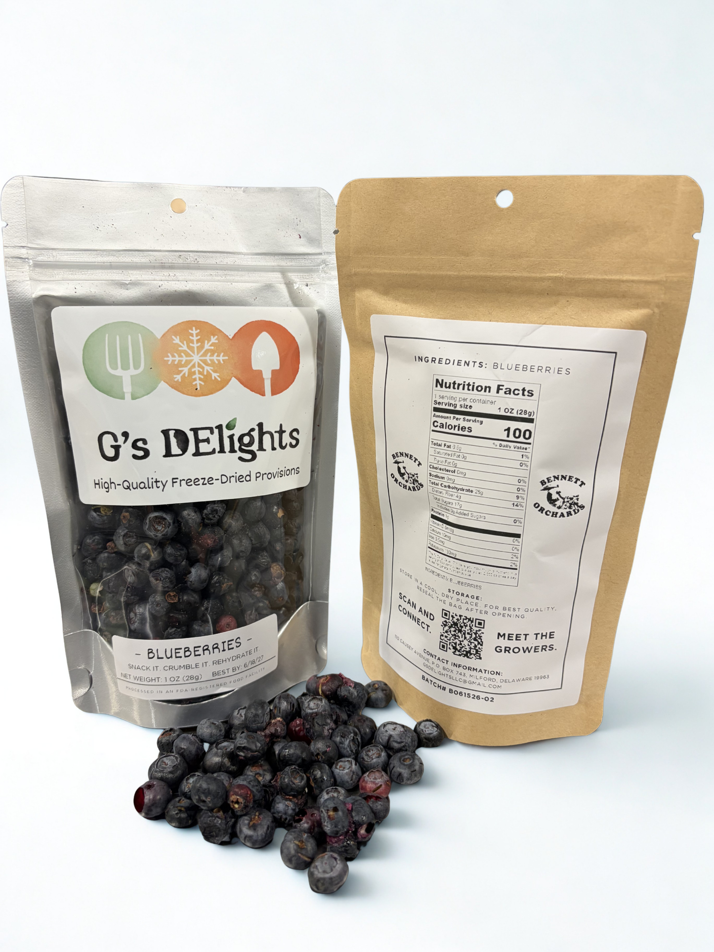 Blueberries - Bennett Orchards